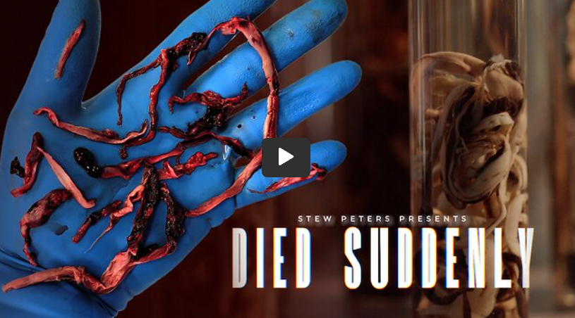 Watch Died Suddenly: A Documentary of Lost Loved&nbsp;Ones.