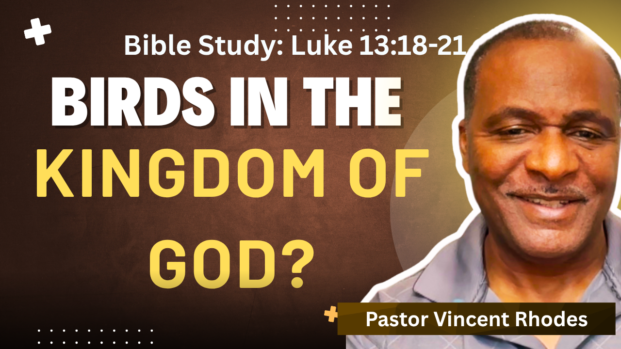 Bible Study: Birds Invading the Kingdom of God